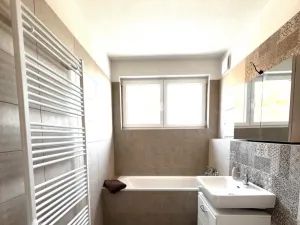 Pronájem bytu 1+kk, Heřmanova Huť - Vlkýš, U Pondu, 35 m2