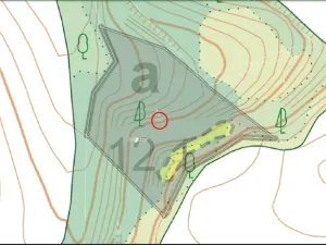 Prodej lesa, Rychnov na Moravě, 5546 m2