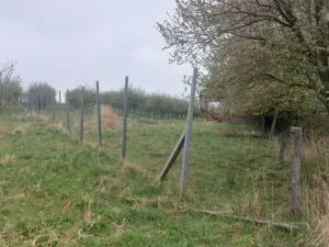 Prodej pozemku, Polom, 9766 m2