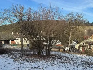 Prodej pozemku pro bydlení, Chotilsko, 2807 m2