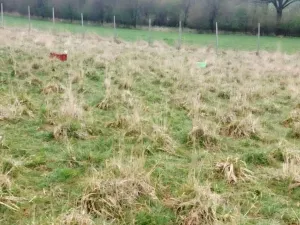 Prodej louky, Polom, 3371 m2