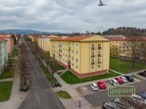 Prodej bytu 2+1, Ostrov, S. K. Neumanna, 54 m2