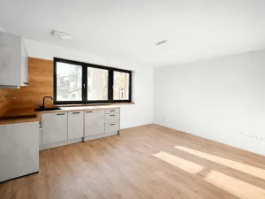 Pronájem bytu 1+kk, České Budějovice, Štítného, 27 m2