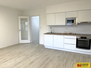 Pronájem bytu 1+kk, Pohořelice, U Kasáren, 38 m2