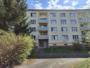 Prodej bytu 3+1, Cheb, Do Zátiší, 59 m2