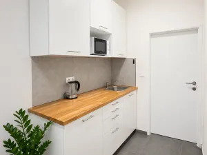 Prodej obchodního prostoru, Chrudim, Novoměstská, 18 m2