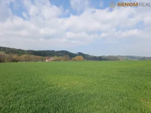 Prodej bytu 2+1, Česká Třebová - Lhotka, 60 m2