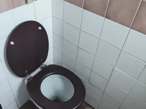 Pronájem bytu 1+kk, Plzeň - Jižní Předměstí, Plachého, 21 m2