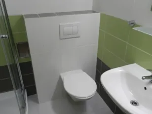 Pronájem bytu 2+kk, Praha - Žižkov, Fibichova, 60 m2