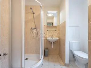 Pronájem bytu 2+1, Brno - Žabovřesky, Spojovací, 47 m2