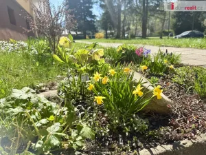 Prodej bytu 3+1, Frenštát pod Radhoštěm, Školská čtvrť, 68 m2