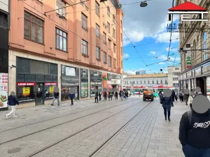 Pronájem obchodního prostoru, Brno, Masarykova, 212 m2