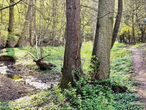 Prodej chaty, Brno - Bystrc, 24 m2