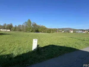 Prodej pozemku pro bydlení, Bystřice, 1312 m2