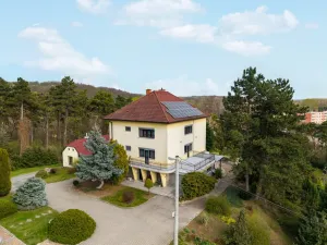 Prodej vily, Dolní Kounice, Zámecká, 270 m2