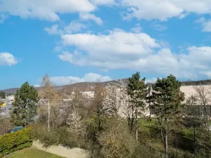 Prodej bytu 2+kk, Praha - Zbraslav, Neumannova, 54 m2