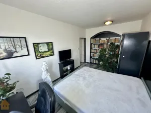 Pronájem bytu 3+1, Brno - Královo Pole, Svatopluka Čecha, 74 m2