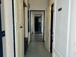 Pronájem bytu 3+1, Brno - Královo Pole, Svatopluka Čecha, 74 m2