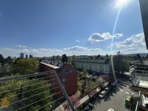 Pronájem bytu 3+1, Brno - Královo Pole, Svatopluka Čecha, 74 m2