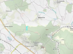 Prodej lesa, Mlázovice, 30813 m2