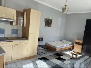 Pronájem pokoje, Praha - Vinohrady, Italská, 22 m2