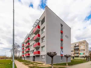 Prodej bytu 3+1, Veselí nad Lužnicí, Pod Markem, 62 m2