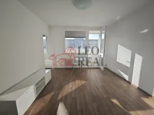Pronájem bytu 1+kk, Praha - Podolí, Kaplická, 27 m2