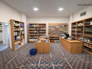 Pronájem obchodního prostoru, Znojmo, Holandská, 142 m2