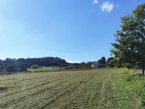 Prodej pozemku pro bydlení, Postupice, 4099 m2