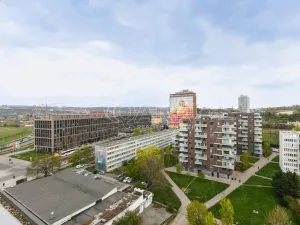 Pronájem bytu 3+kk, Praha - Karlín, Molákova, 42 m2