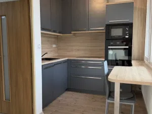 Pronájem bytu 2+1, Plzeň - Bolevec, Krašovská, 47 m2