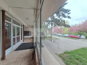 Pronájem bytu 1+kk, Praha - Braník, Nad lesním divadlem, 24 m2