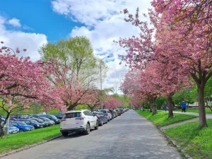 Pronájem bytu 1+kk, Praha - Braník, Nad lesním divadlem, 24 m2