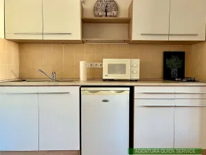 Pronájem bytu 1+kk, Praha - Vršovice, náměstí Svatopluka Čecha, 33 m2