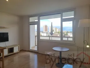 Pronájem bytu 1+kk, Praha - Kamýk, Otradovická, 34 m2