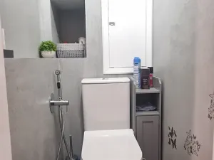 Prodej bytu 2+1, Teplice, Libušina, 58 m2