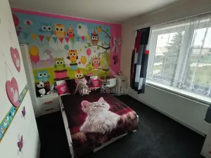 Prodej rodinného domu, České Velenice, Komenského, 450 m2