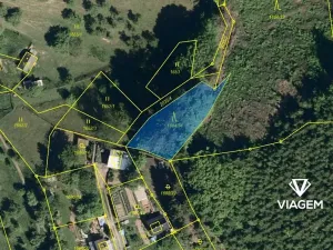 Prodej lesa, Vsetín, Rokytnice, 595 m2