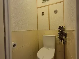 Prodej bytu 3+1, Brno, Ibsenova, 74 m2