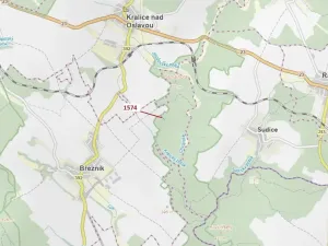 Dražba lesa, Březník, 885 m2