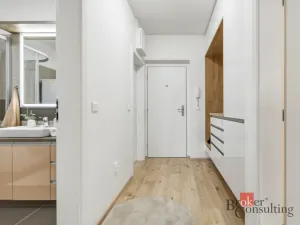 Prodej bytu 2+kk, Pardubice - Zelené Předměstí, Boženy Vikové-Kunětické, 60 m2