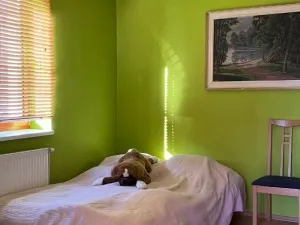 Prodej rodinného domu, Pelhřimov, Cholossiova, 220 m2