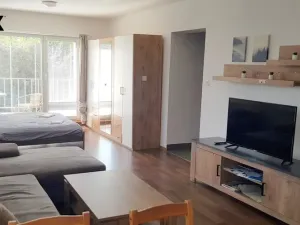 Pronájem bytu 1+kk, Hradec Králové - Nový Hradec Králové, Pod Zámečkem, 48 m2