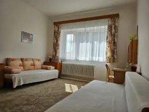 Prodej bytu 3+1, Moravská Třebová, Tyršova, 102 m2