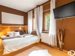 Prodej vícegeneračního domu, Mladá Boleslav, Šafaříkova, 380 m2