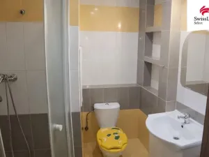 Pronájem bytu 1+1, Karlovy Vary, Dvořákova, 37 m2