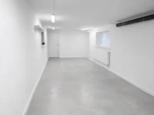 Prodej výrobních prostor, Ostrava - Hrušov, Kanczuckého, 300 m2