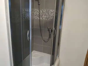 Prodej činžovního domu, Ostrava, Vrchlického, 132 m2