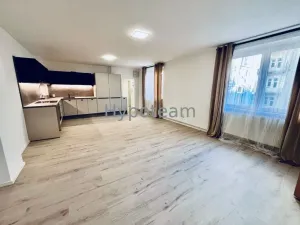 Pronájem bytu 2+kk, Ústí nad Labem - Klíše, Masarykova, 55 m2