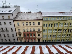 Prodej bytu 1+kk, Praha - Vinohrady, Sázavská, 45 m2